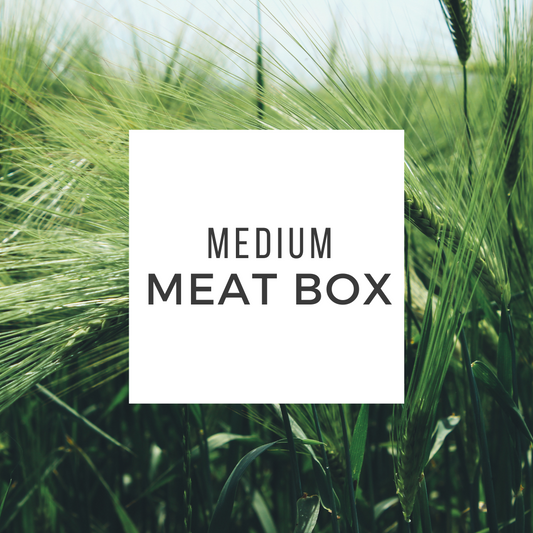 Medium- Meat Box Subscription